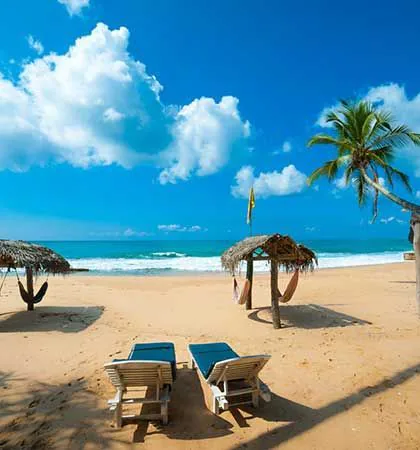 Sun loungers and thatched hammock shelters on a palm-fringed beach