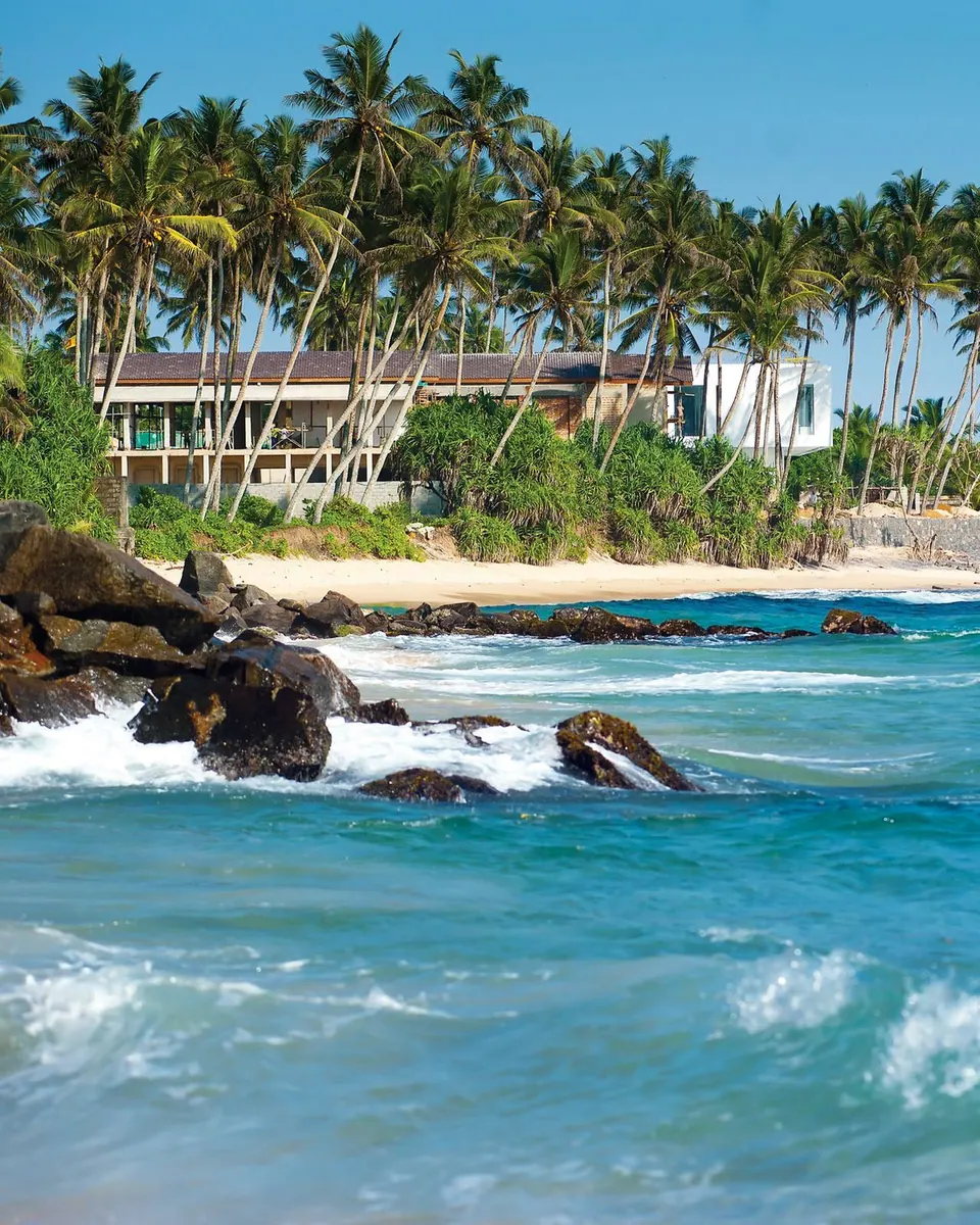 A golden beach framed by leaning palms