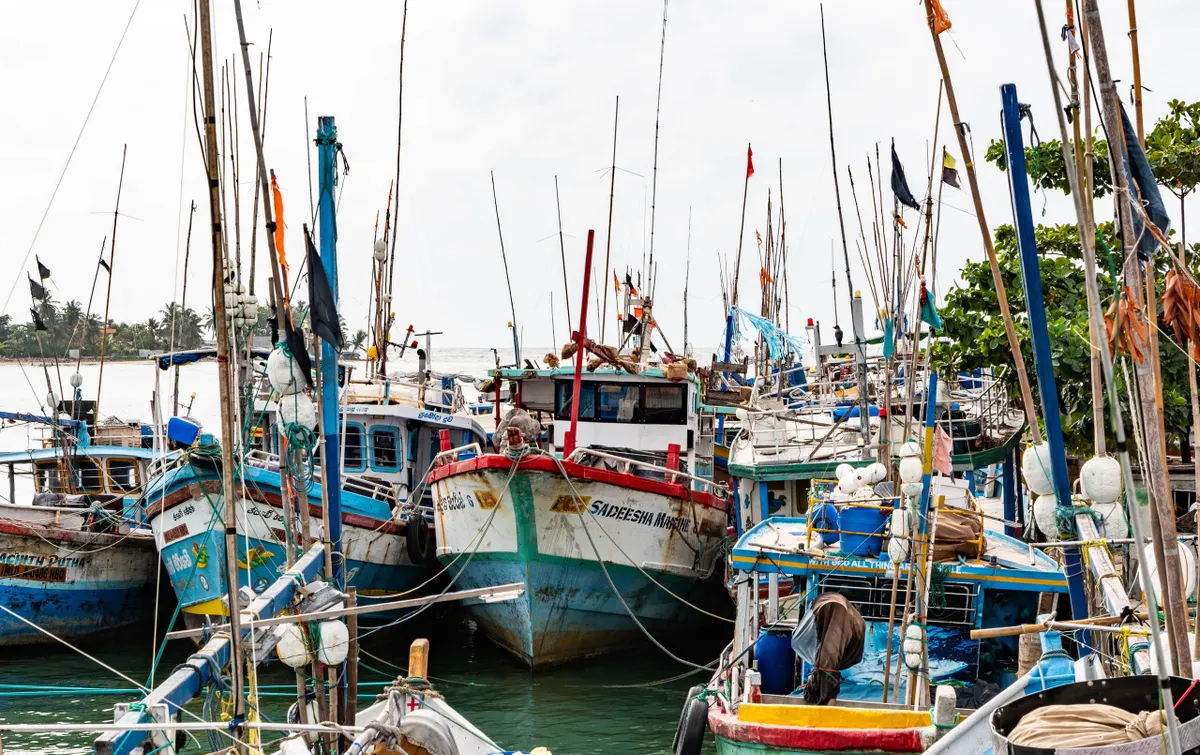 Fishing trawlers crowded together in Negombo harbour
