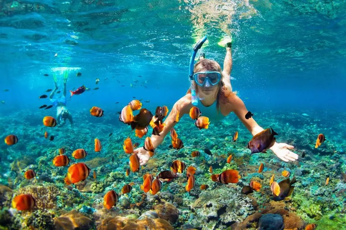 A snorkeller swimming among shoals of orange reef fish