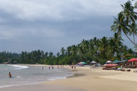 The golden crescent of Mirissa beach lined with palms