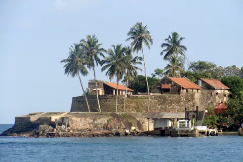 The seaward walls of Galle Fort crowned with coconut palms