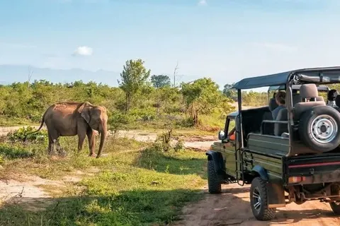 A safari jeep watching a wild elephant on the plains of Udawalawe