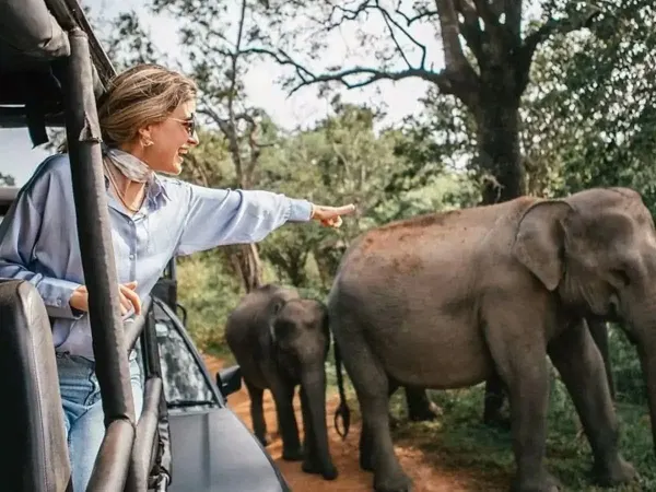 A traveller pointing out elephants from an open safari jeep