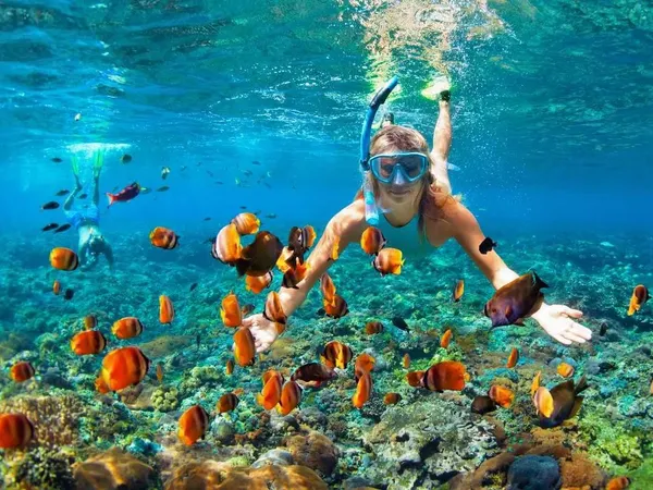 A snorkeller swimming among shoals of orange reef fish