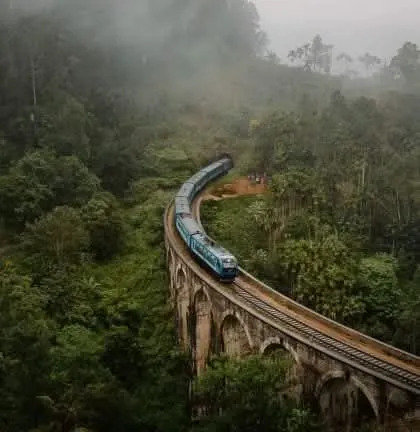 A train curving over the Nine Arch Bridge through misty forest