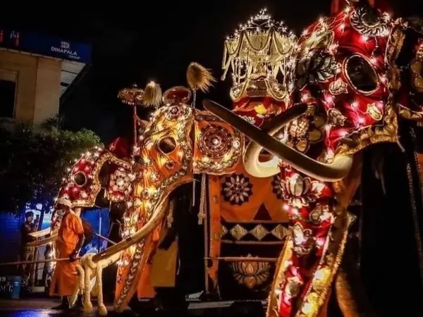 Caparisoned tuskers glowing with lights in the Esala Perahera procession