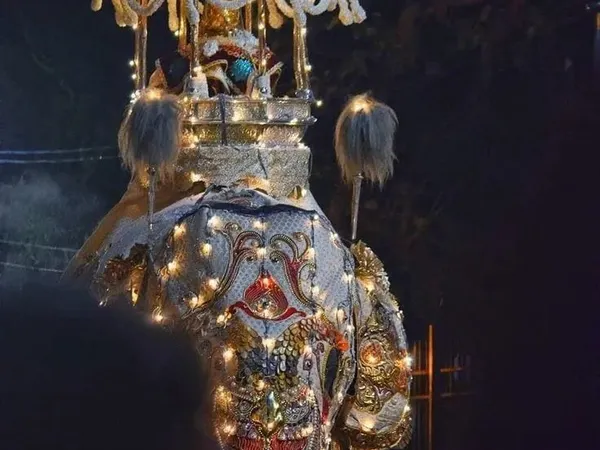A tusker in a jewelled, lantern-lit costume at the Kandy Perahera