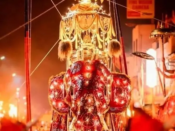A tusker under a ceremonial canopy at the Kandy Esala Perahera