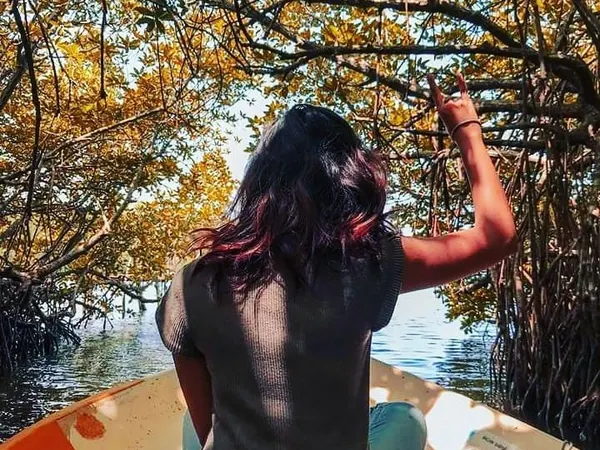 Gliding by boat through a tunnel of mangroves
