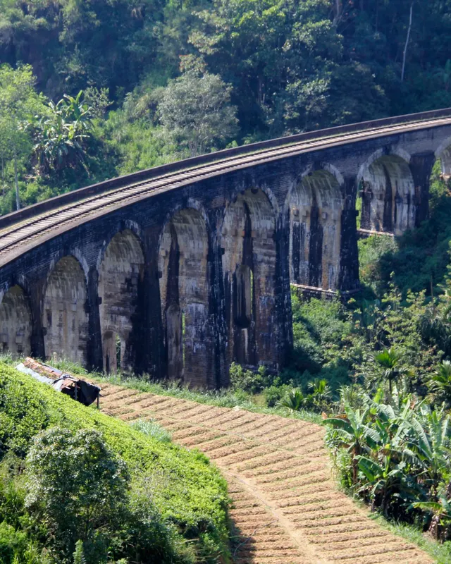 The Nine Arch Bridge curving through tea and jungle near Ella