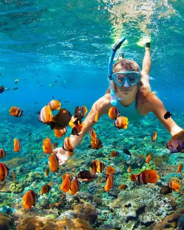 A snorkeller swimming among shoals of orange reef fish
