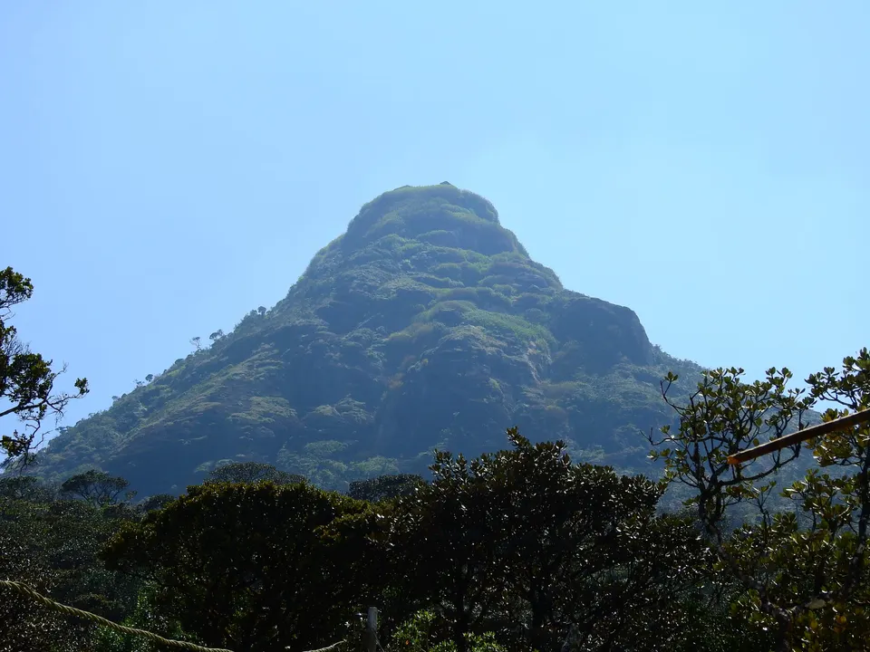 The sacred cone of Adam's Peak (Sri Pada) rising above the forest