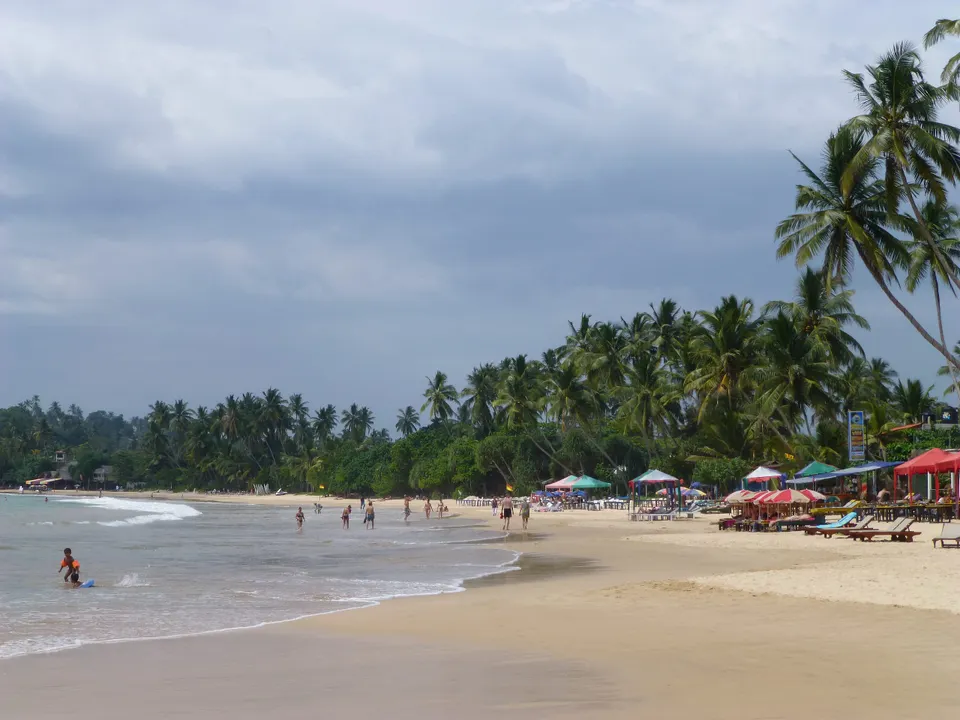 The golden crescent of Mirissa beach lined with palms