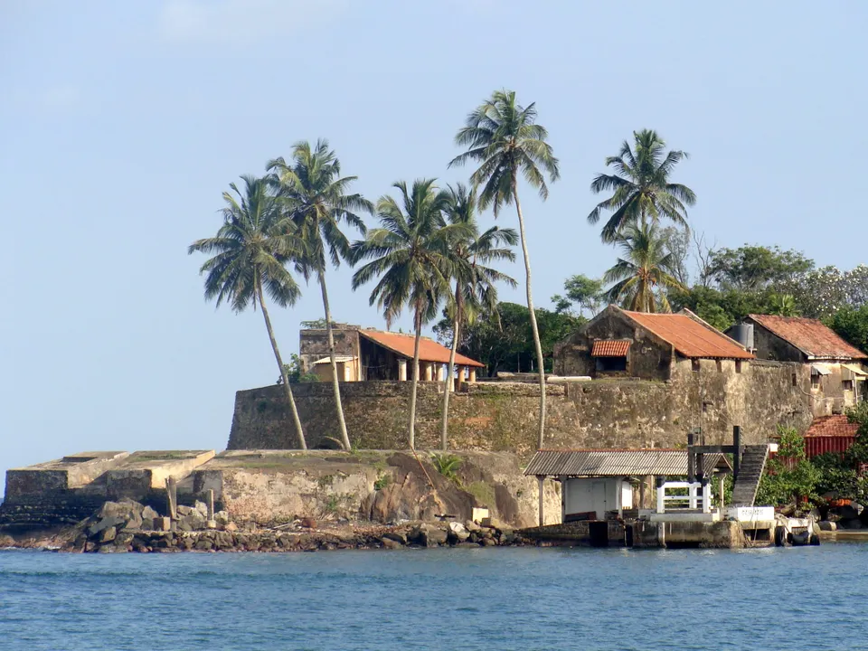 The seaward walls of Galle Fort crowned with coconut palms